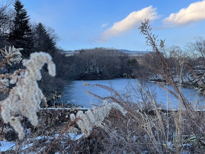 写真：池に張る氷