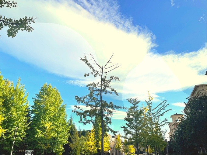 写真：秋空